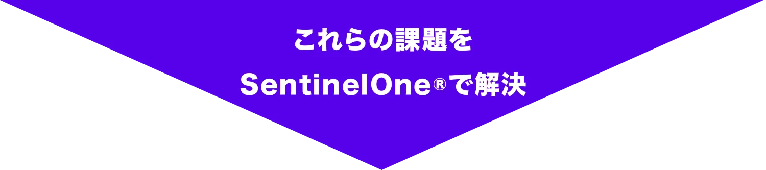 これらの課題をSentinelOne®で解決!